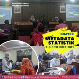 Bimbingan Teknis Penyusunan Metadata Statistik