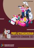 Profil Ketenagakerjaan Kabupaten Semarang 2021