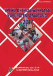 Profil Ketenagakerjaan Kabupaten Semarang 2017