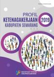 Profil Ketenagakerjaan Kabupaten Semarang 2019