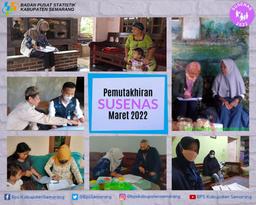 Pemutakhiran Rumah Tangga Susenas Maret 2022